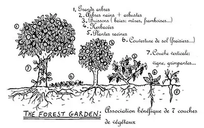 strate jardin-foret